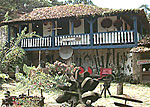The Murycana Farm